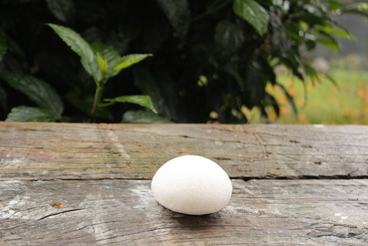 Natural Konjac Sponge