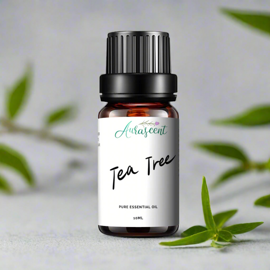 Tea Tree Essential Oil - 10ml